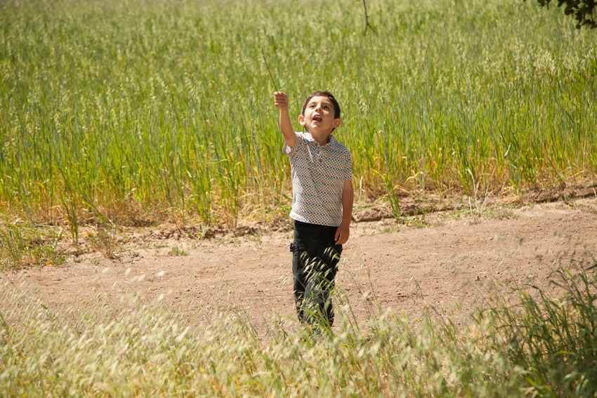 Boy on path in grassy field